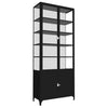 Etu Home Black 2-Door Glass Storage Cabinet