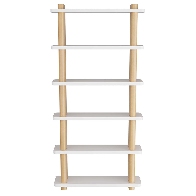 Arteriors Triton Bookshelf