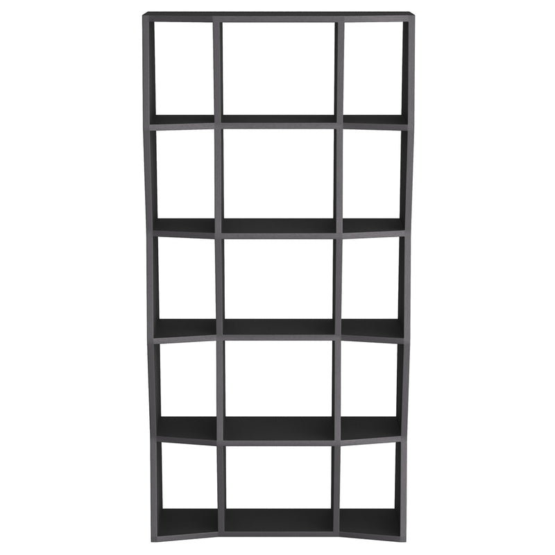 Arteriors Belen Bookcase