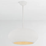 Hudson Valley Lighting Ferndale Pendant