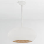 Hudson Valley Lighting Ferndale Pendant