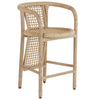 Arteriors Chapman Outdoor Counterstool