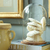 Etu Home Glass Bell Jar with Wood Base