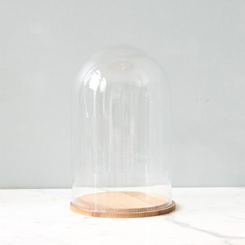 Etu Home Glass Bell Jar with Wood Base