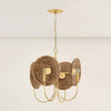 Mitzi Ashby Chandelier