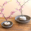 River Rock Flower Frogs Bowl Set of 2