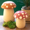 Mushroom Canister Set of 2