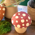 Mushroom Canister Set of 2