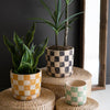 Checkered Planter Set of 3