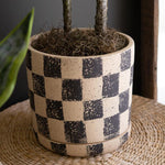 Checkered Planter Set of 3