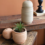 Ribbed Vase With Bud Vase Set of 2