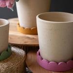 Scalloped Terracotta Planter Set of 3