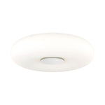 Mitzi Imani Flush Ceiling Mount