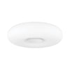 Mitzi Imani Flush Ceiling Mount