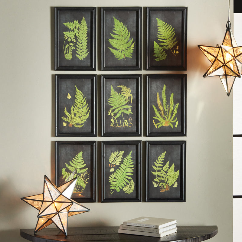 Fern Botanical Framed  Wall Art Set of 9