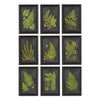 Fern Botanical Framed  Wall Art Set of 9