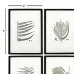 Fern Gray-Tone Framed Wall Art Set of 6