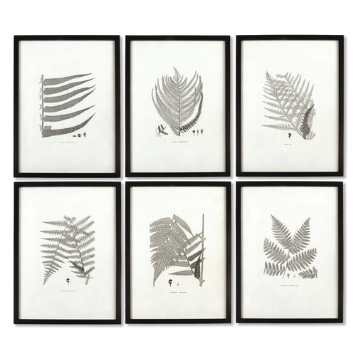 Fern Gray-Tone Framed Wall Art Set of 6