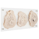 Phillips Collection Floating Petrified Double Slice Wall Art