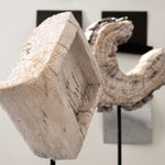 Phillips Collection Eroded Wood C Sculpture on Stand