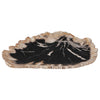 Phillips Collection Petrified Wood Plate