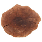 Phillips Collection Longan Wood Stool