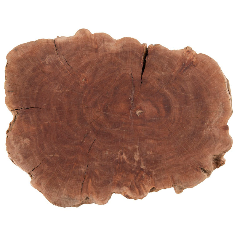 Phillips Collection Longan Wood Stool