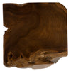 Phillips Collection Teak Root Side Table