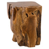 Phillips Collection Teak Root Side Table