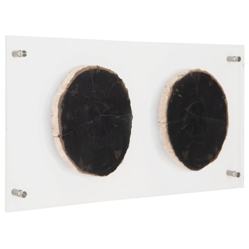 Phillips Collection Floating Petrified Double Slice Wall Art