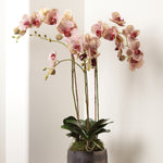 Phalaenopsis Orchid Speckled Pink Drop-In Faux Plant