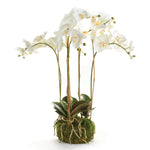 Phalaenopsis Orchid Bowl 25in Drop-In Faux Plant