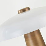 Troy Lighting Lush Table Lamp