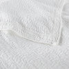 Peacock Alley Mia Coverlet