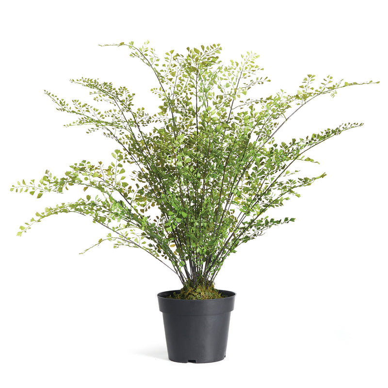 Maidenhair Drop-In Faux Plant