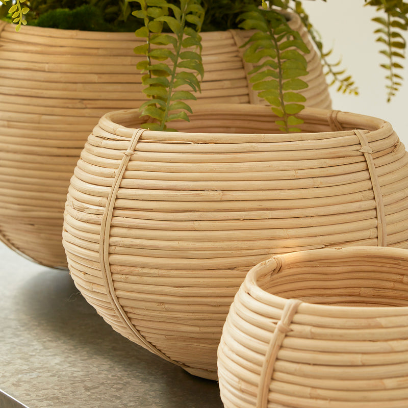 Cane Rattan Plant Basket Set of 3