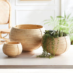 Cane Rattan Plant Basket Set of 3