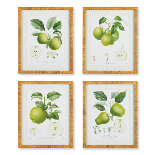 Fruit Study Wall Art Set of 4