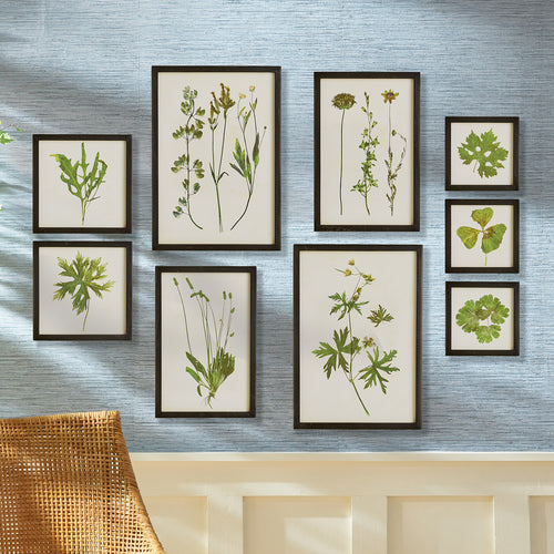 Foliage Wall Art Set of 9