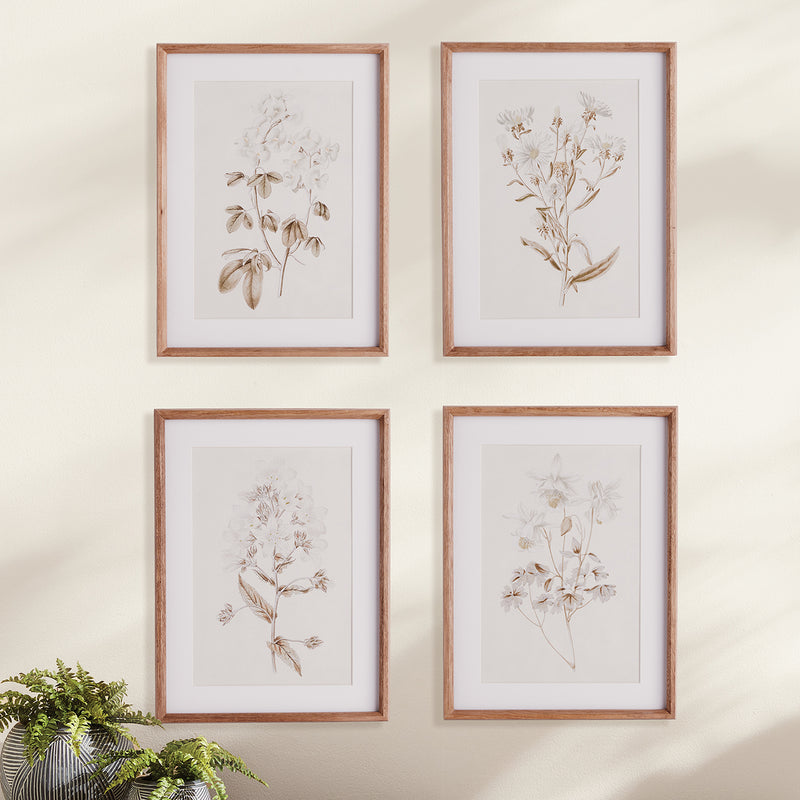 Fleur De Blanc Print Wall Art Set of 4