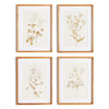 Fleur De Blanc Print Wall Art Set of 4