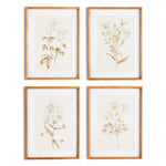 Fleur De Blanc Print Wall Art Set of 4