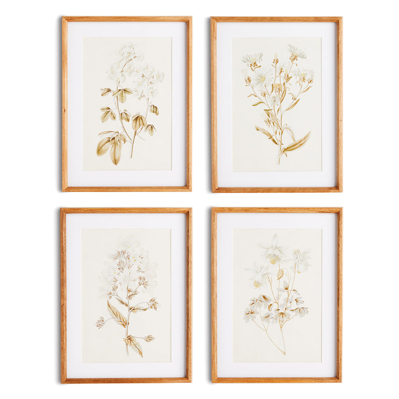 Fleur De Blanc Print Wall Art Set of 4