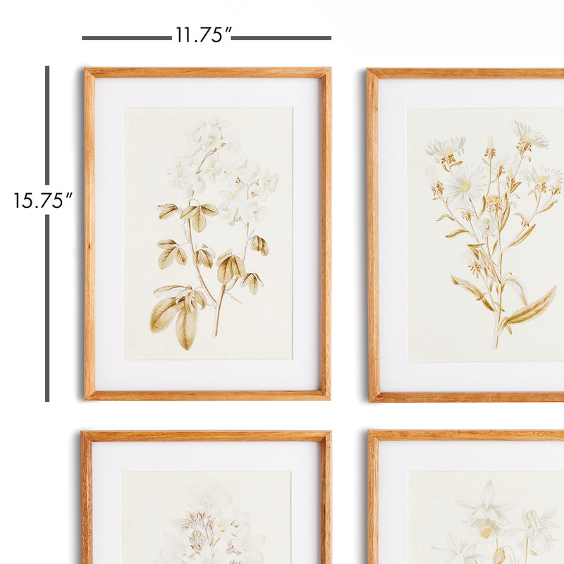 Fleur De Blanc Print Wall Art Set of 4