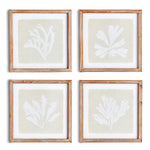 Seaweed Petite Wall Art Set of 4