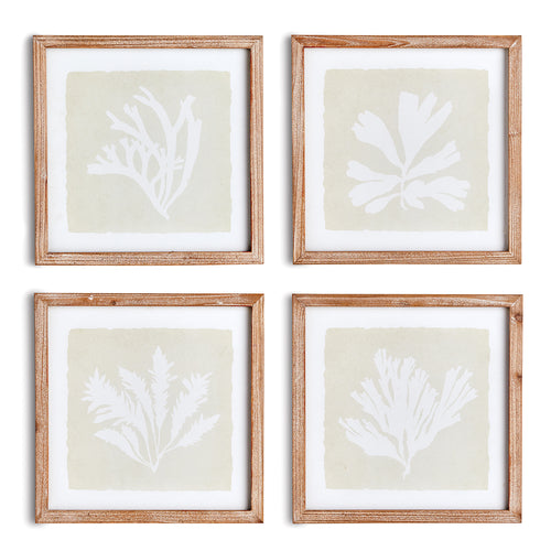 Seaweed Petite Wall Art Set of 4