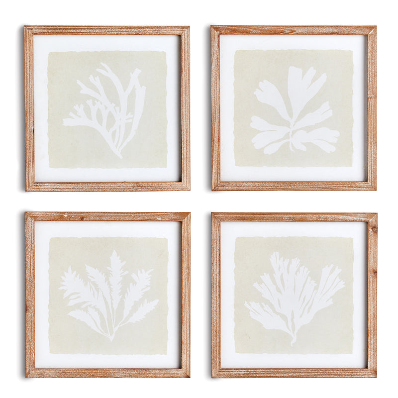 Seaweed Petite Wall Art Set of 4