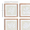 Seaweed Petite Wall Art Set of 4