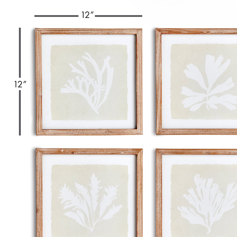 Seaweed Petite Wall Art Set of 4