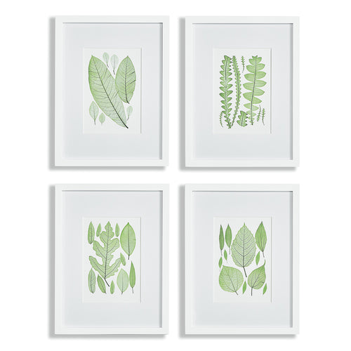 Assorted Leaf Print Wall Art Set of 4